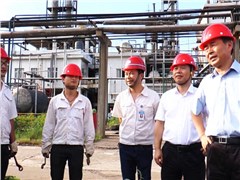 副省长戴道晋莅临db多宝真人株洲公司检查调研安全生产工作
