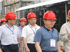 省国资委副主任卢光祖一行来db多宝真人常德公司开展“支帮促”活动并督查安全生产工作